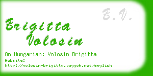 brigitta volosin business card
